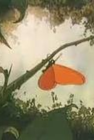 Poster 2 de Curta Alphamorphosis (2006)