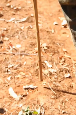 Pertensença ou o encharcar-se de sertão (Pertensença ou o encharcar-se de sertão)