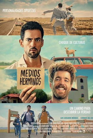 Poster 3 de Filme Meios-Irmãos (2020)