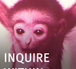 Inquire Within