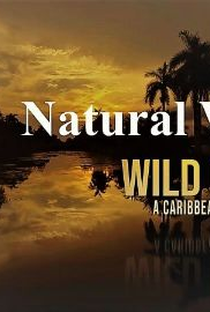 The BBC: Natural World - Wild Cuba: A Caribbean Journey - Poster / Capa / Cartaz - Oficial 1