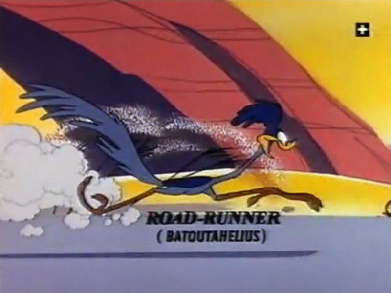 Foto 2 de Wild About Hurry