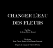 Changer l’eau des fleurs