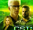 CSI: Investigação Criminal (14ª Temporada)
