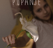 Pupanje