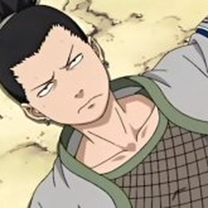 Foto de perfil de Soares de Melo