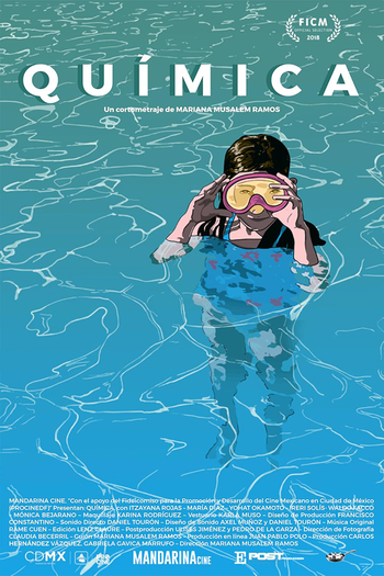 Poster de Curta Química (2018)