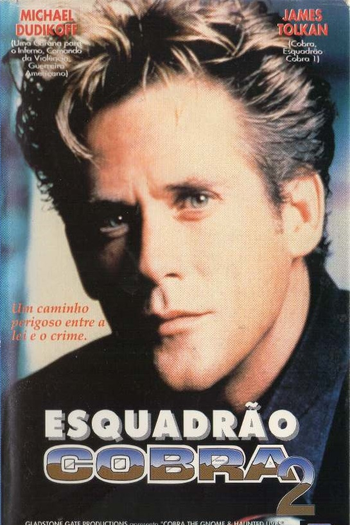 Poster de Filme Esquadrão Cobra 2 (1993)