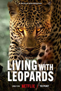 A Vida dos Leopardos - Poster / Capa / Cartaz - Oficial 3