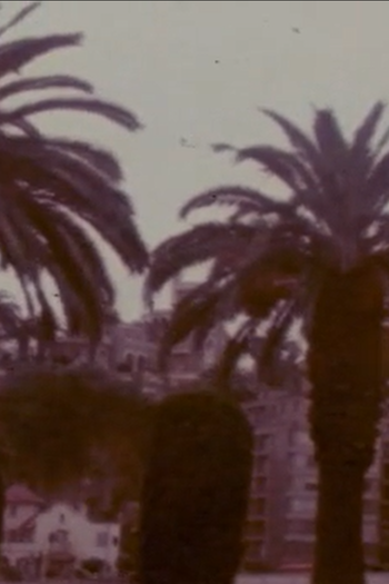  de Curta América Morena I (1977)