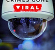 Crimes que Viralizaram (2ª Temporada)
