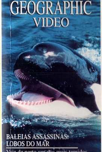 National Geographic Video - Baleias Assassinas: Lobos do Mar - Poster / Capa / Cartaz - Oficial 1