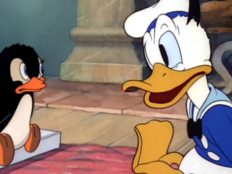 Foto 1 de O Pinguim do Donald