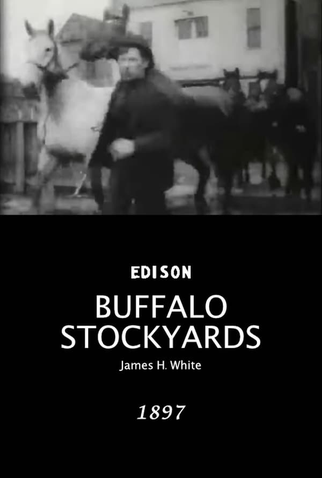 Poster 1 de Curta Buffalo Stockyards (1897)
