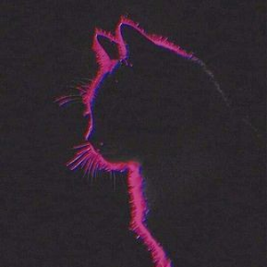 Foto de perfil de Heidmilla