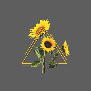 Foto de perfil de AzafeHolffman