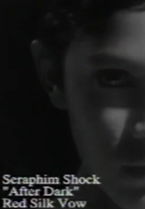 Seraphim Shock: After Dark (Seraphim Shock: After Dark)
