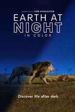 Noite na Terra em Cores (Earth at Night in Color)