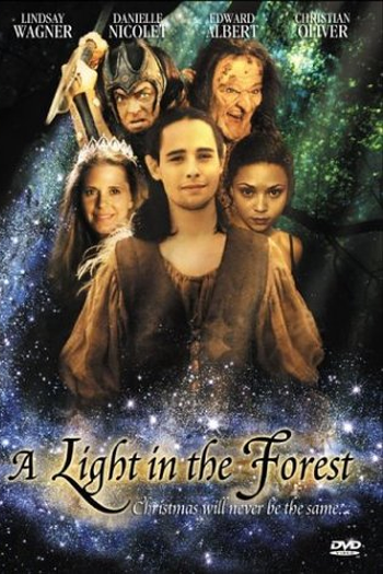 Poster de Filme A light in the forest (2003)