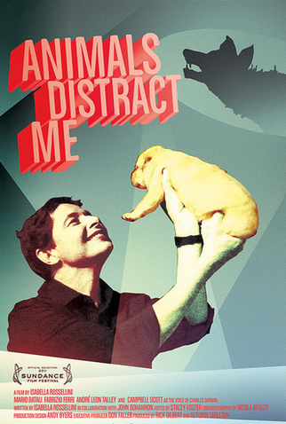 Poster 1 de Filme Os Animais me Distraem (2011)
