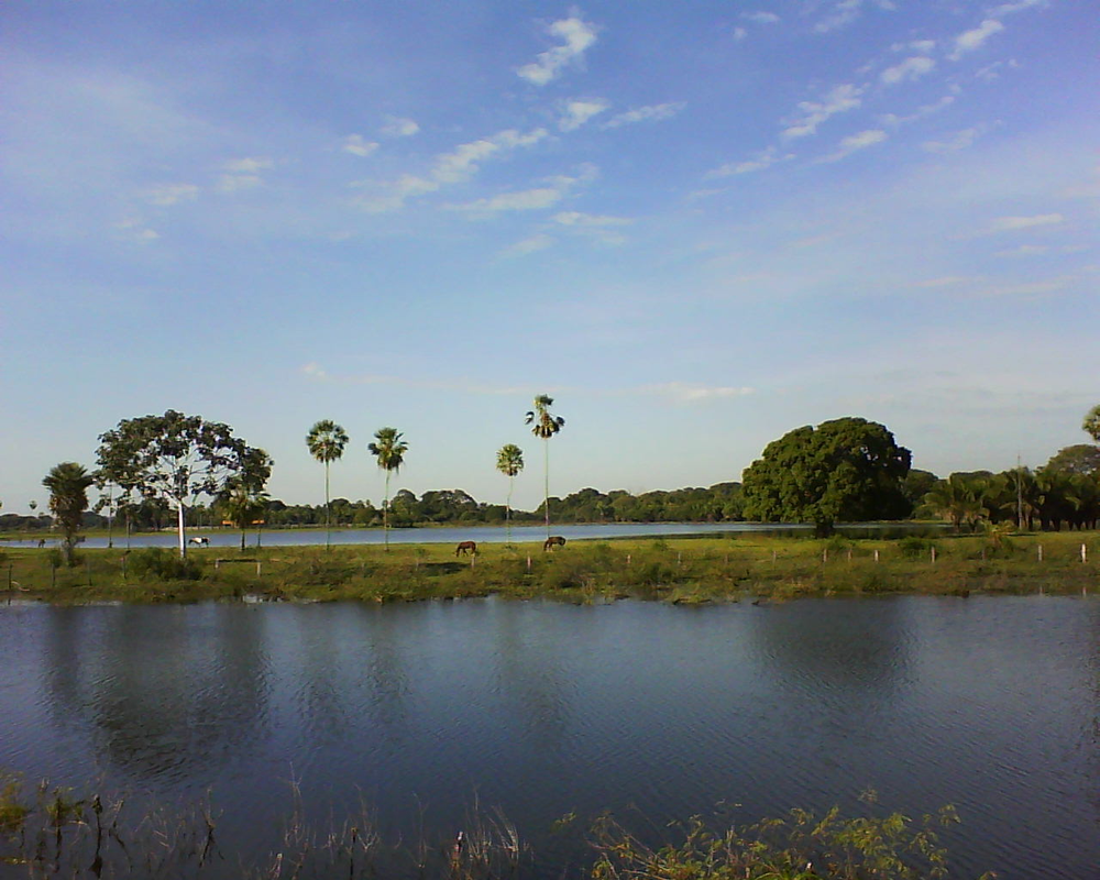 Rodrigues - Foto 6