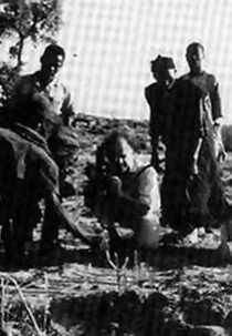 Batalha no Grande Rio/ Caça ao Hipopótamo (Bataille sur le Grand Fleuve/ Chasse à l'hippopotame)