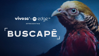 Trailer: Volte à Cidade de Deus com Vivo 5G e Motorola