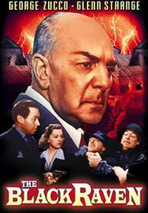 The Black Raven (The Black Raven (1943))