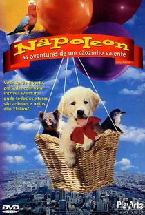 Napoleon: As Aventuras de um Cãozinho Valente - Poster / Capa / Cartaz - Oficial 2
