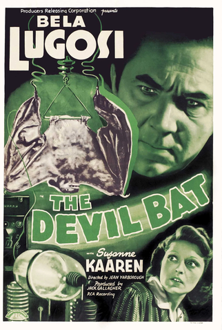 Poster 2 de Filme O Morcego Diabólico (1940)