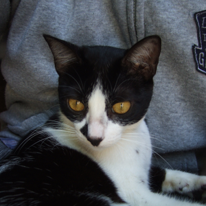 Foto de perfil de Hannah P