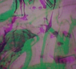 Art Flies Free