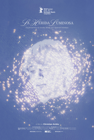 Poster 1 de Filme La Herida Luminosa (2022)