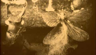 Веселые сценки из жизни животных -1912. Старый русский мультфильм Старевича