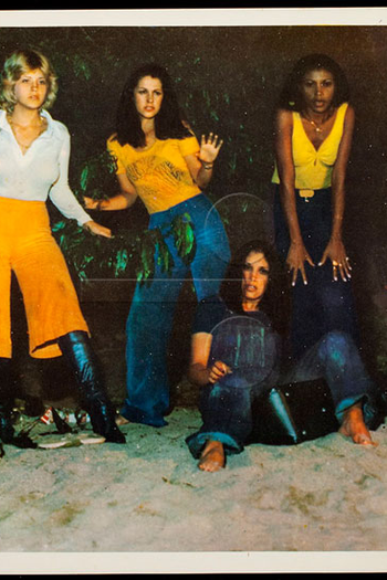 Poster de Filme As Audaciosas (1976)