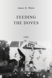 Feeding the Doves - Poster / Capa / Cartaz - Oficial 1