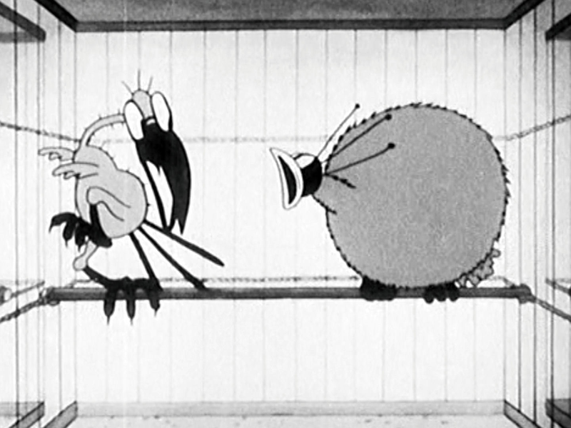 Foto 1 de The Bird Store