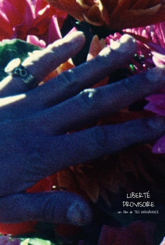 Poster 2 de Curta Liberté provisoire (1977)