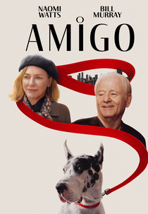 O Amigo (The Friend)