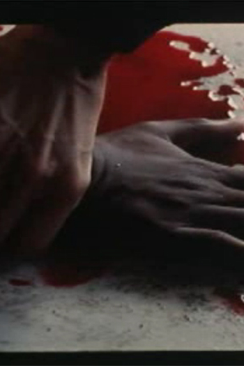 Poster de Curta Rosa (1997)