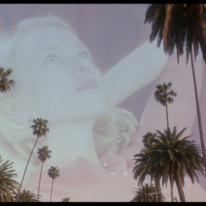 Foto de perfil de Renata B. Dias