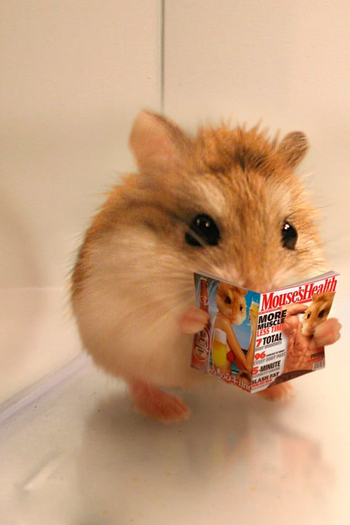 Poster de Curta Carlitopolis (2006)