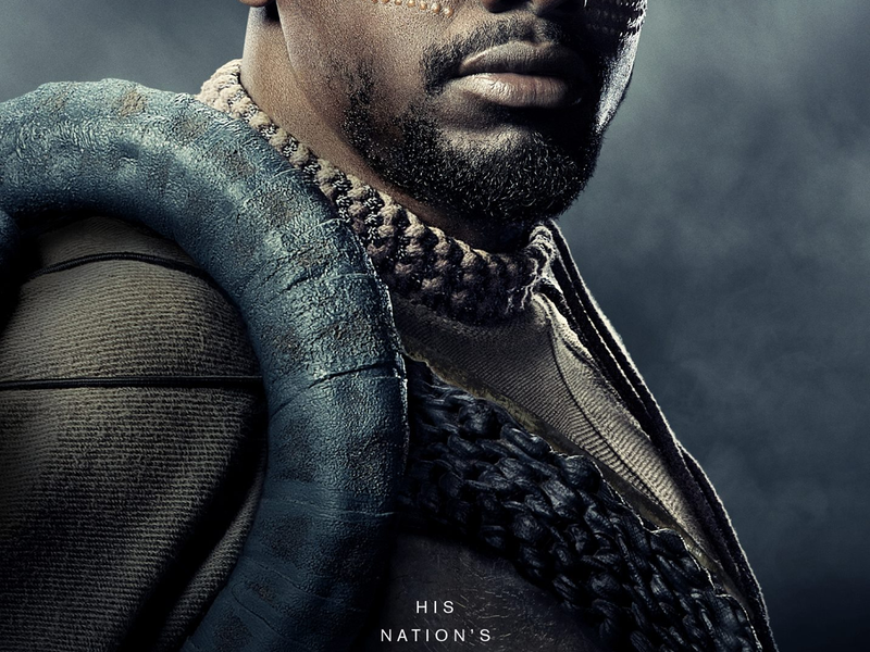 Foto 12 de Pantera Negra