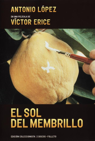 Poster 1 de Filme O Sol do Marmelo (1992)