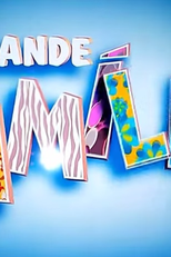 A Grande Família (12ª Temporada) (A Grande Família (12ª Temporada))