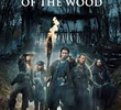 Ladrões da Floresta (1ª Temporada)
