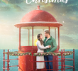 Navigating Christmas