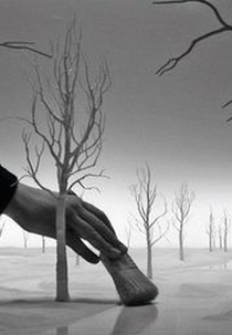 Encenando o Silêncio (Staging Silence)