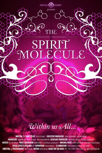 Poster de Filme DMT: A Molécula do Espírito (2010)