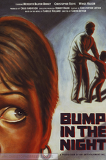 Busca Desesperada (Bump In The Night)